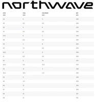 Buty snowboardowe Northwave Domain Sls męskie brązowe r. 44