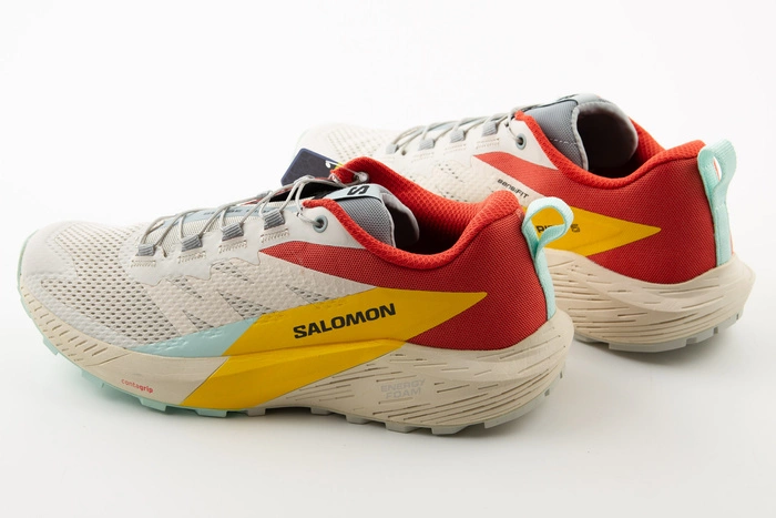 Buty męskie Salomon Sense Ride 5 do biegania w terenie beżowe